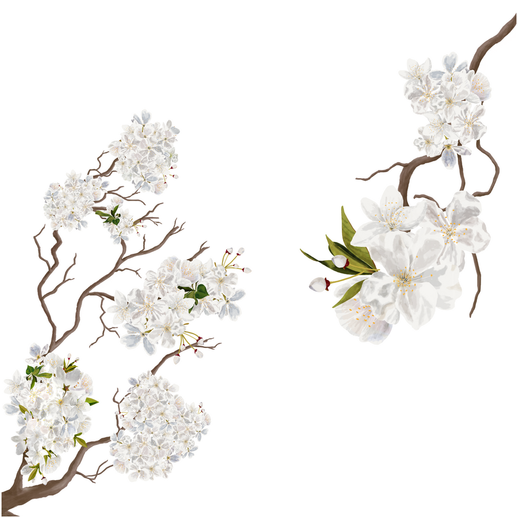 2024 New Year Collection: Almond Blossoms Professional Print
