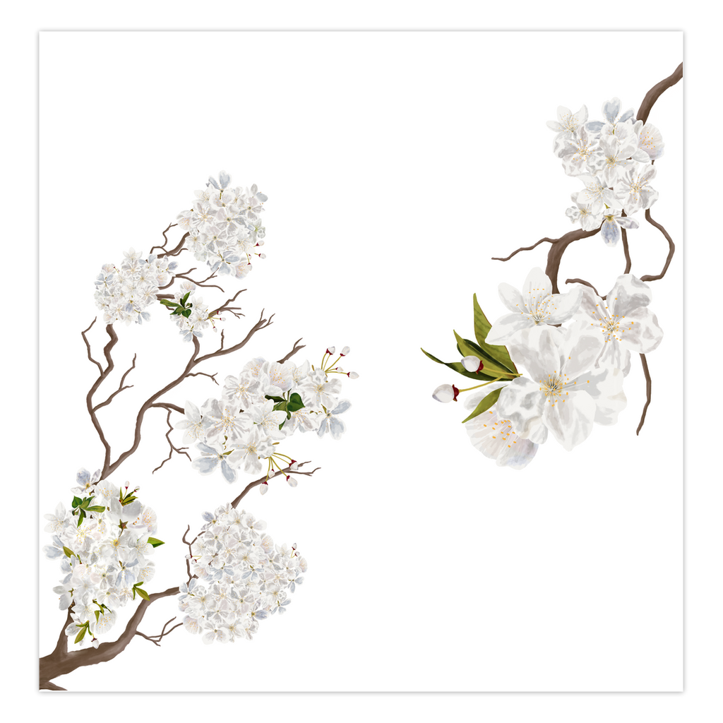 2024 Almond Blossoms Folded Cards